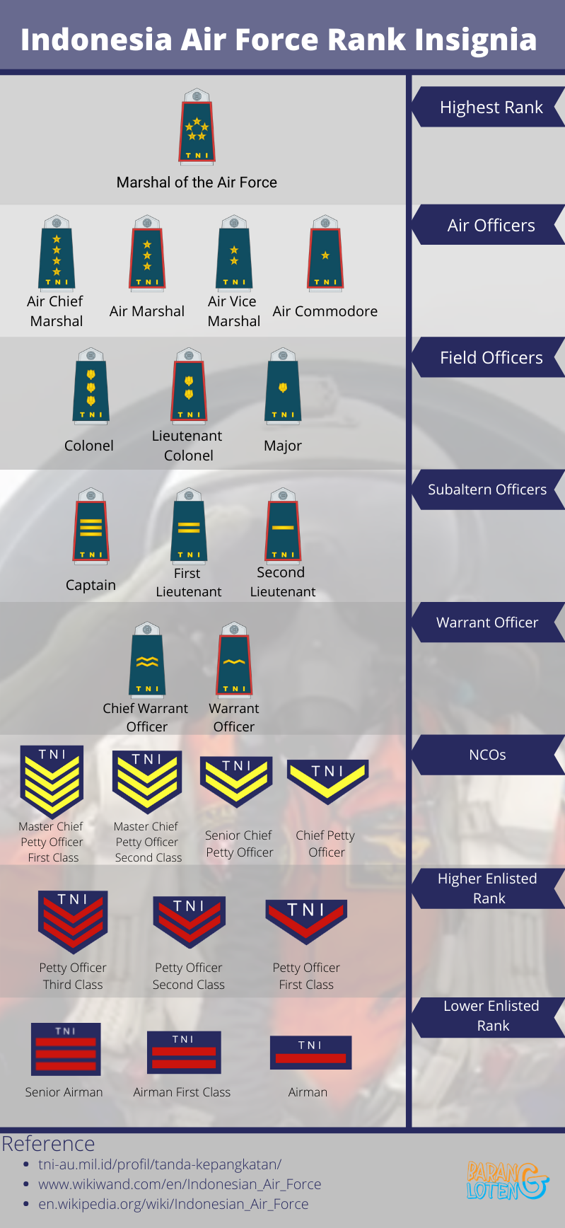 Indonesia Air Force Rank Insignia